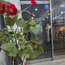 방배천로34길 11 | 결혼식보다 만족한 (방배) 속눈썹 연장 후기