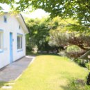 치유의 바람 이미지