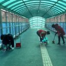 푸른정비 이미지