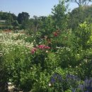 달밭코티지 | 너머통신 3호! 마르티나 도이힐러 선생님 방문 그리고 감동의 금일봉