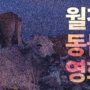 동서울동물병원 이미지