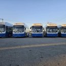 고성군 11 이미지