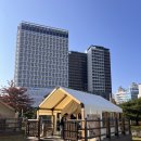 호수공원 2주차장옆 | 파주 운정호수공원 피크닉장 예약 이용 후기