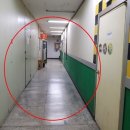 대덕대로-5 이미지