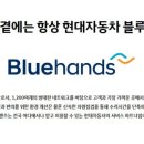 블루핸즈(bluehands) 로고