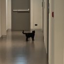 우석약국 | 태국 여행 - 치앙마이 01