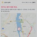 🌸 Next.js와 Python으로 만든 광주시 벚꽃 명소 지도 프로젝트