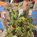 용설농장 이미지