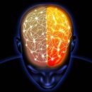 새한의원 이미지