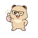 퍼피루시드 | 미니비숑교배 푸들 1kg대 종견 외모 크기 중요함