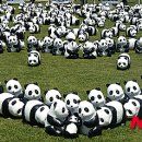 판다백화점 이미지