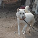 명창농장 이미지