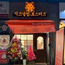 시즈널컵 이미지