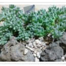 원종방앗간 이미지