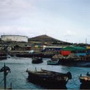 용연초등학교 이미지