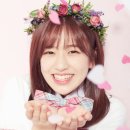 48 이미지