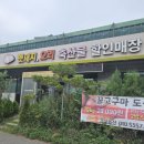 경성멧돼지