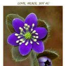 진건우회로 이미지