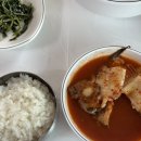 [속초맛집] 1박2일 내돈내산 속초맛집 모음집 (난장,회가,가보오토종닭,히응커피)