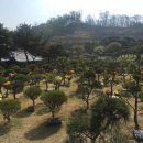 갈월공원 이미지