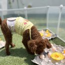 멍더가든 이미지