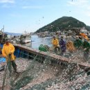 남해-297 이미지