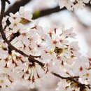 창원대로 이미지