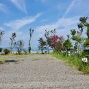 버드오토캠핑장 이미지