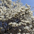 으뜸한의원 이미지