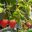 향교농장 이미지