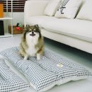 사계절 애견 켄넬 이미지