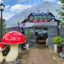 쌍류포도정원협동조합 | 쌍류포도정원 협동조합 체험프로그램(w. 생기충전 행복도시락)