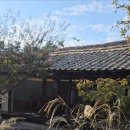 현풍로 | 대구 현풍 테크노폴리스 고양이 감성 카페 스몰버드 내돈내산