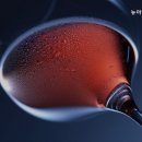 뉴안경마트 이미지