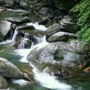 가리왕산목장 이미지