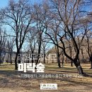 연곡2리 | 강원도 정선 노지캠핑성지, 미락숲에서 즐긴 고요한 1박2일