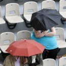 빨간우산 이미지