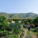 개똥골펜션 이미지