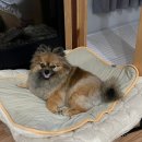 초정힐링캠핑장 이미지