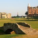 서천스크린골프 이미지