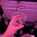 076 | 에어뉴질랜드 NZ076 오클랜드 직항 이코노미 탑승 후기 (비행시간 기내식 좌석)