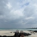 왕성목장 이미지