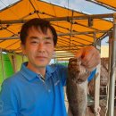 스카이좌대낚시터 이미지