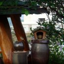 복돌이네 이미지