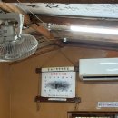 (유)비조이 | [남해] 24주차 남해 태교여행 1일차 - 상주은모래비치, 설리스카이워크, 유유자적 카페유자