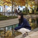 수지아울렛