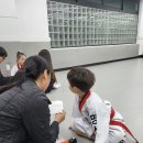 남서울명성태권도 이미지