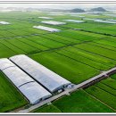 상사축사 이미지