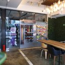 버블독스 이미지