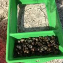 다슬기마을 이미지